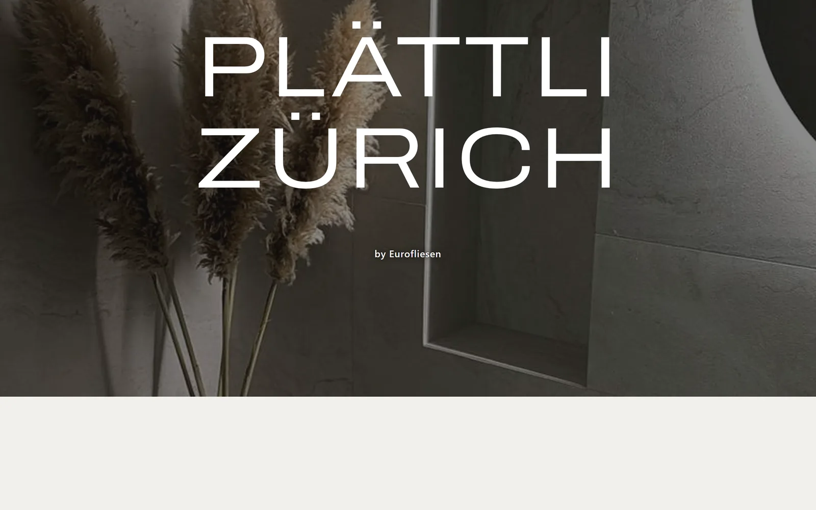 Website von Plättli Zürich